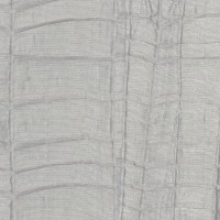 nobilis_10185-85.jpg