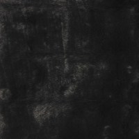 10284-88.jpg