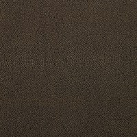 nobilis_10404-13.jpg