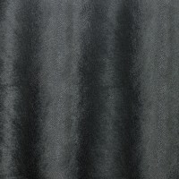 nobilis_10405-27.jpg