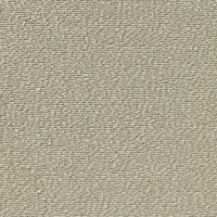 nobilis_10489-10.jpg