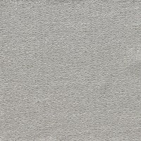 nobilis_10495-02.jpg