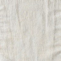 nobilis_10503-03.jpg