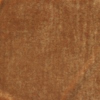 nobilis_10505-55.jpg