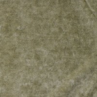 nobilis_10505-78.jpg