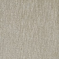 nobilis_10506-02.jpg