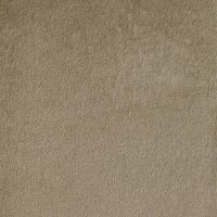 nobilis_10507-14.jpg