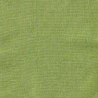 nobilis_10538-76.jpg