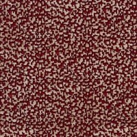 nobilis_10563-50.jpg