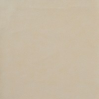 nobilis_10566-05.jpg