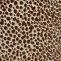 nobilis_10570-14.jpg
