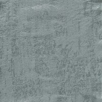 nobilis_10573-71.jpg