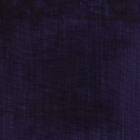 nobilis_10576-46.jpg