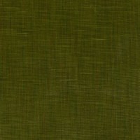 nobilis_10576-76.jpg