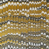 nobilis_10584-30.jpg