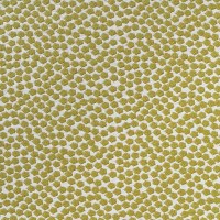 nobilis_10591-75.jpg