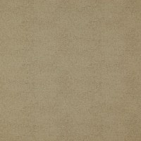 10664_10.jpg