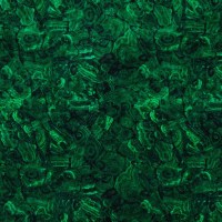10681_74.jpg