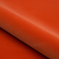 10750-55.jpg