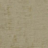 nobilis_50164.jpg