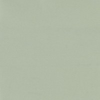 52114_0.jpg