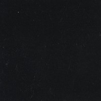 52117_0.jpg
