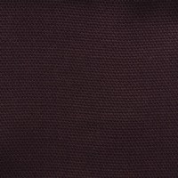 nobilis_53150.jpg