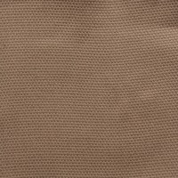 nobilis_53153.jpg