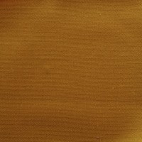 nobilis_53231.jpg