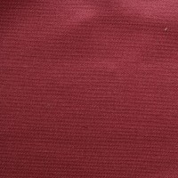 nobilis_53245.jpg