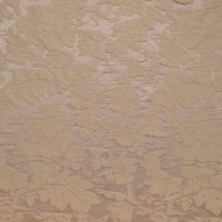 nobilis_8988-86.jpg