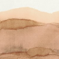 PAN100.jpg