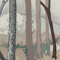 PAN171.jpg