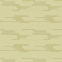 cos221--2.jpg