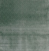 ncf4313-04.jpg