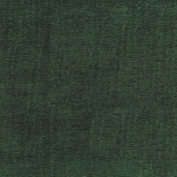 ncf4380-05.jpg