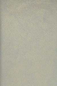 w7555-04.jpg