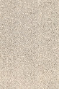 w7970-01.jpg