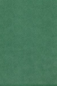 w7970-02.jpg
