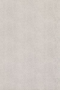 w7970-06.jpg