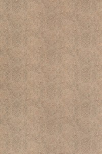w7970-08.jpg