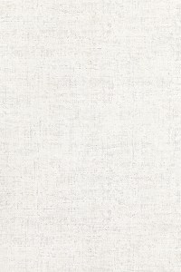 w7972-05.jpg