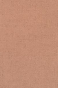 w7972-06.jpg
