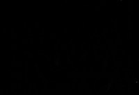 vano_branachintz-299.jpg