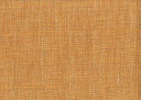 vano_brione-006.jpg