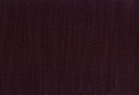 vano_kiwi-10.jpg