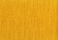vano_kiwi-15.jpg