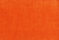 vano_kiwi-16.jpg