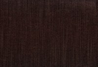 vano_kiwi-19.jpg