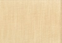 vano_kiwi-22.jpg